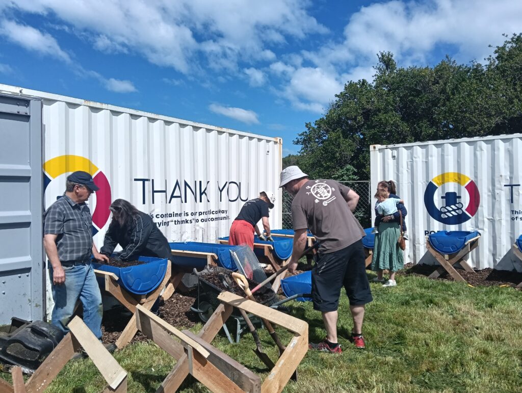 Day 1 of planting out